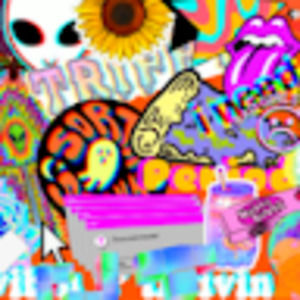 Meet your Posher, Nadine